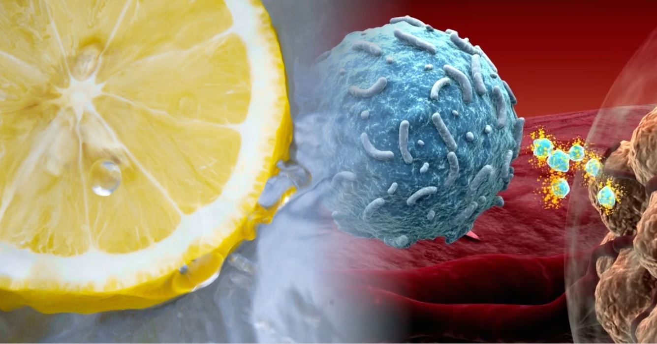 암세포 죽이는 레몬물 온도